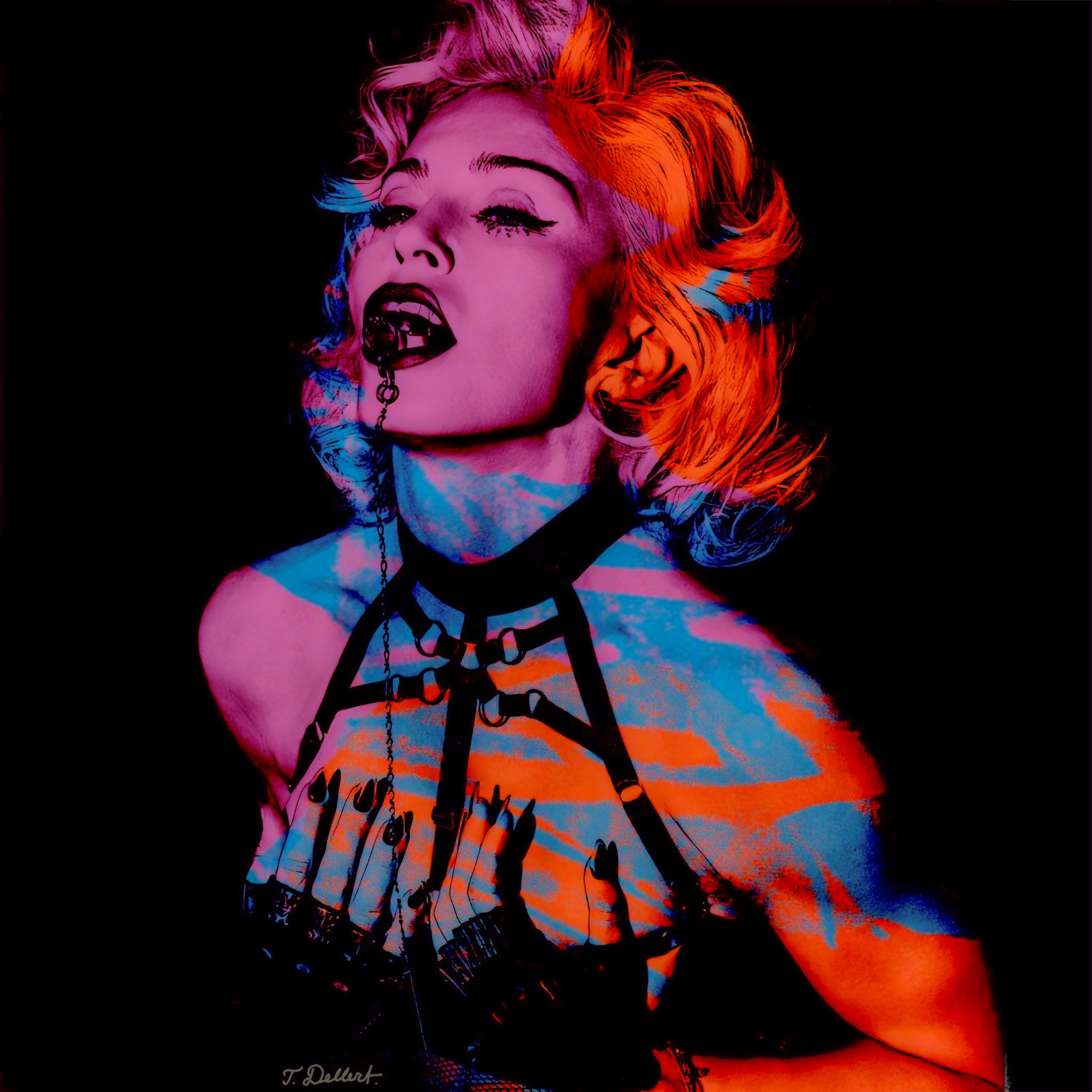 Madonna 5 